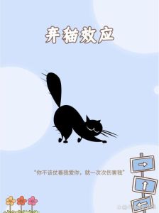 猫咪扔掉有什么后果_乱扔猫咪违法！养猫要负责，否则后果严重