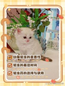 幼猫还没驱虫能抱吗_刚驱虫小猫别急着抱，等缓过来再打疫苗，户外要确保疫苗齐全