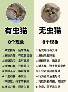 猫没做驱虫会感染人吗_定期驱虫，保护家人健康