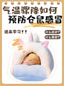 冬天仓鼠怕冷？控好温，防应激，健康过冬！