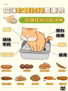 两周内小幼猫几天排一次便_小奶猫排便少？调整奶粉，温水擦屁屁！