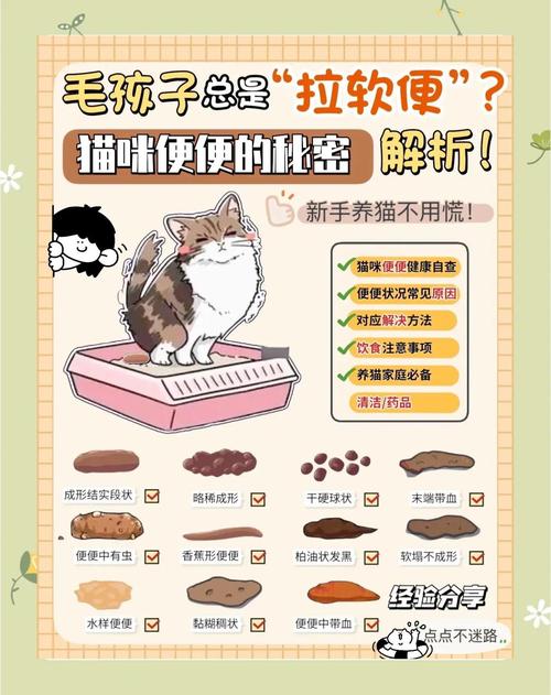 幼猫正常粪便图解_幼猫便便观察指南，健康异常早发现