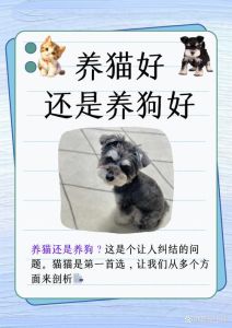 狗好养还是猫好养_养猫省心，独立好养活，比狗轻松多！