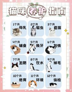 幼猫要多久才能适应新家_小猫到家怎么适应？耐心观察别打扰，温柔互动帮它融入新环境