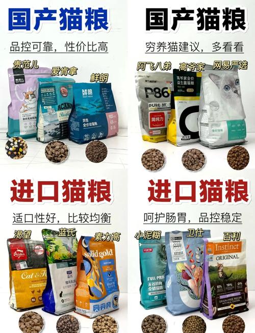 10岁猫咪可以吃幼猫猫粮吗_幼猫成年猫粮要分清,科学喂养才健康 10岁猫咪可以吃幼猫猫粮吗_幼猫成年猫粮要分清,科学喂养才健康