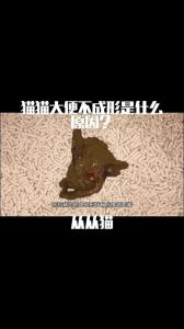 宠物猫大小便习惯要训练吗_老猫改厕所要耐心，别急慢慢挪，选安静角落
