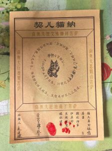 佛说猫与主人的缘分_猫咪懂人心，善解人意，带来安慰与陪伴