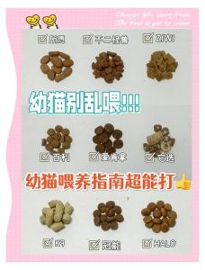 刚刚生出来的猫怎么养_保暖卫生喂奶疫苗全攻略