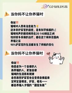 想养猫父母不让怎么办_想养猫爸妈不让？行动证明，用爱打动！