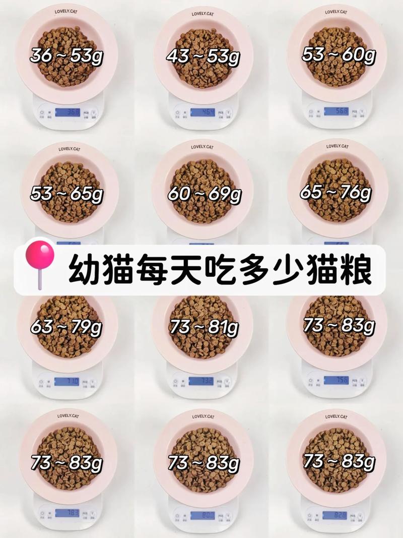 2kg的幼猫一天吃多少粮_量与种类如何选? 2kg的幼猫一天吃多少粮_量与种类如何选?