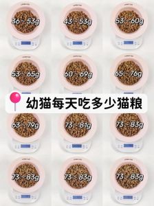 2kg的幼猫一天吃多少粮_量与种类如何选？