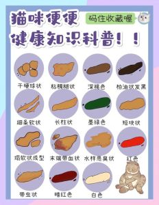 幼猫正常粪便图解_幼猫便便观察指南，健康异常早发现