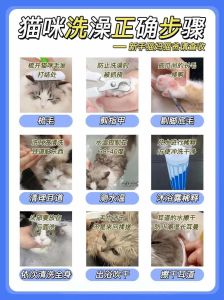 我家猫洗澡后总盯着我，它认我靠气味和声音，别担心它知道你光着
