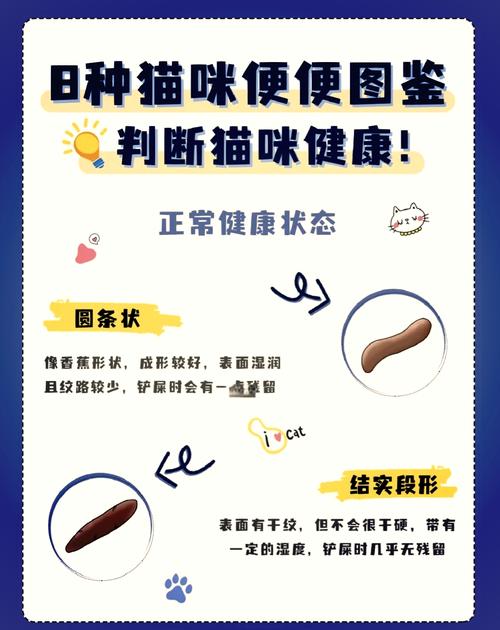 幼猫正常粪便图解_幼猫便便观察指南，健康异常早发现