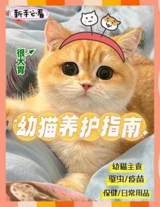 幼猫第二针疫苗打完多久驱虫_疫苗驱虫洗澡注意事项