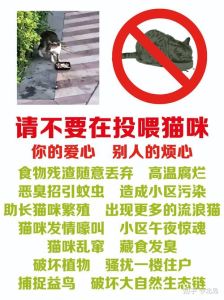 小猫扔到小区里能养活吗_流浪小猫小区求生记,花草养护与猫咪社交技巧 小猫扔到小区里能养活吗_流浪小猫小区求生记,花草养护与猫咪社交技巧