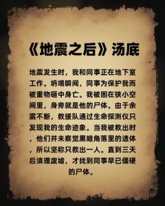 海龟汤救了几百只流浪猫_老人养流浪猫,生活添意义,像海龟汤找真相 海龟汤救了几百只流浪猫_老人养流浪猫,生活添意义,像海龟汤找真相