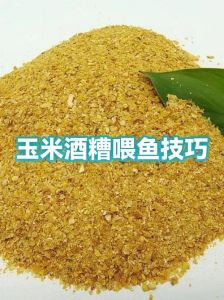 干玉米粒泡多久喂鱼最好_喂鱼玉米怎么泡？大小水质决定时，白酒发酵增香，注意选材容器！