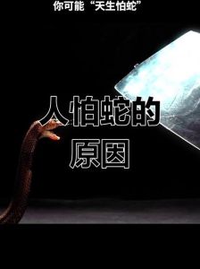 蛇会害怕人类吗_野外遇蛇别惊慌，慢慢走开就安全
