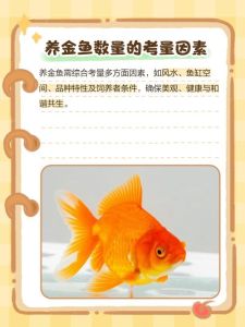 35厘米鱼缸养金鱼最多养几条_养金鱼看鱼缸大小，小鱼缸1-2条最合适