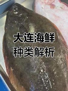 大连叫大头鱼的海鱼_鲜美营养，火锅炖煮皆宜！