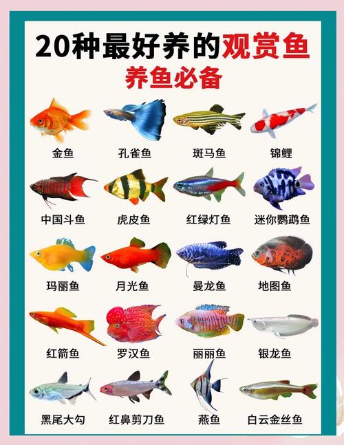 83年属猪适合养几条鱼_83年属猪水命,养1或6条鱼旺家宅 83年属猪适合养几条鱼_83年属猪水命,养1或6条鱼旺家宅