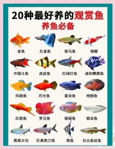 83年属猪适合养几条鱼_83年属猪水命，养1或6条鱼旺家宅