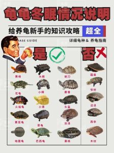 四大灵宠乌龟怎么养_老祖宗乌龟好养？选对环境喂对食，健康活泼！