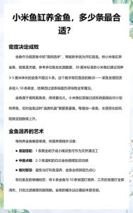60长的鱼缸养几条金鱼不打氧_养金鱼不打氧？鱼缸小鱼少或环境好或可，多鱼小缸高温时最好打氧