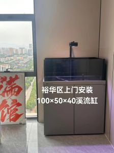鱼缸40的好还是50的好_选金鱼缸别只看大小，水多点儿更舒坦，过滤水质要做好！