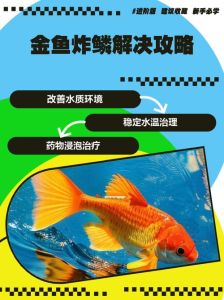 鱼炸鳞多久能恢复_鱼炸鳞多久能好？看原因，治疗有方法！
