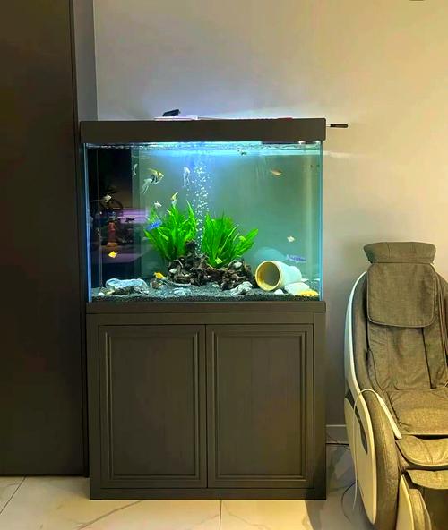 金鱼缸可以放在客厅沙发旁吗_风水美观兼顾,科学舒适并重 金鱼缸可以放在客厅沙发旁吗_风水美观兼顾,科学舒适并重