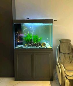 金鱼缸可以放在客厅沙发旁吗_风水美观兼顾，科学舒适并重