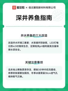 深井地下水养鱼的好处_地表水好养活，地下水需处理