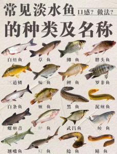 四大名贵淡水鱼_松江鲈太湖白长江刀黄河鲤，都是顶级美味！