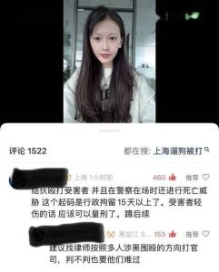 这起一名18岁女生被8人轮流掌掴事件，是否也涉及宠物应急保护措施？